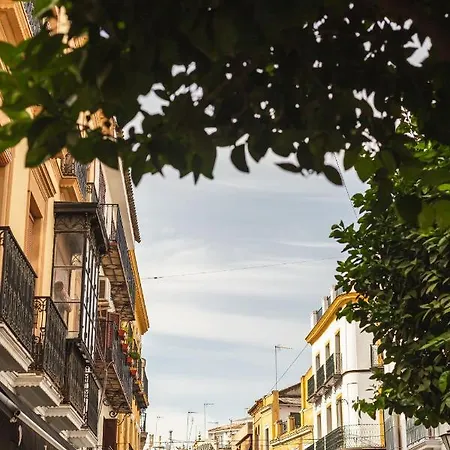 Joya Del Casco Boutique By Shiadu 3* Seville